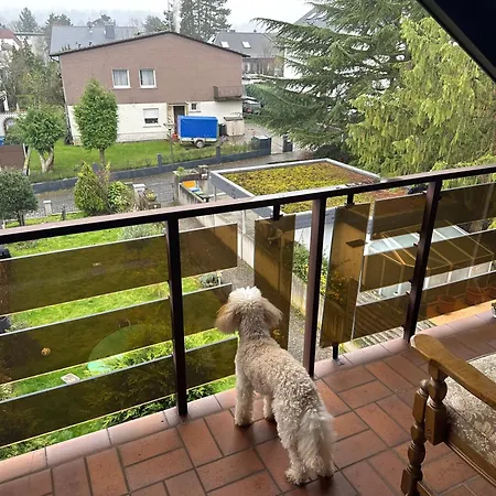 Oma,s Volle Huette Lejlighed